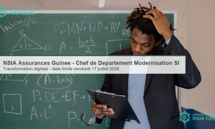 NSIA Assurances Guinée – recrute un Chef de Département Modernisation du Système d&rsquo;Information (H/F)