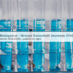 Nations Unies Madagascar – Groupe Consultatif Jeunesse (YAG), Cohorte 2026-2028