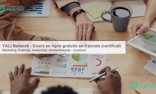 YALI Network – Cours en ligne gratuits en français (avec certificat)