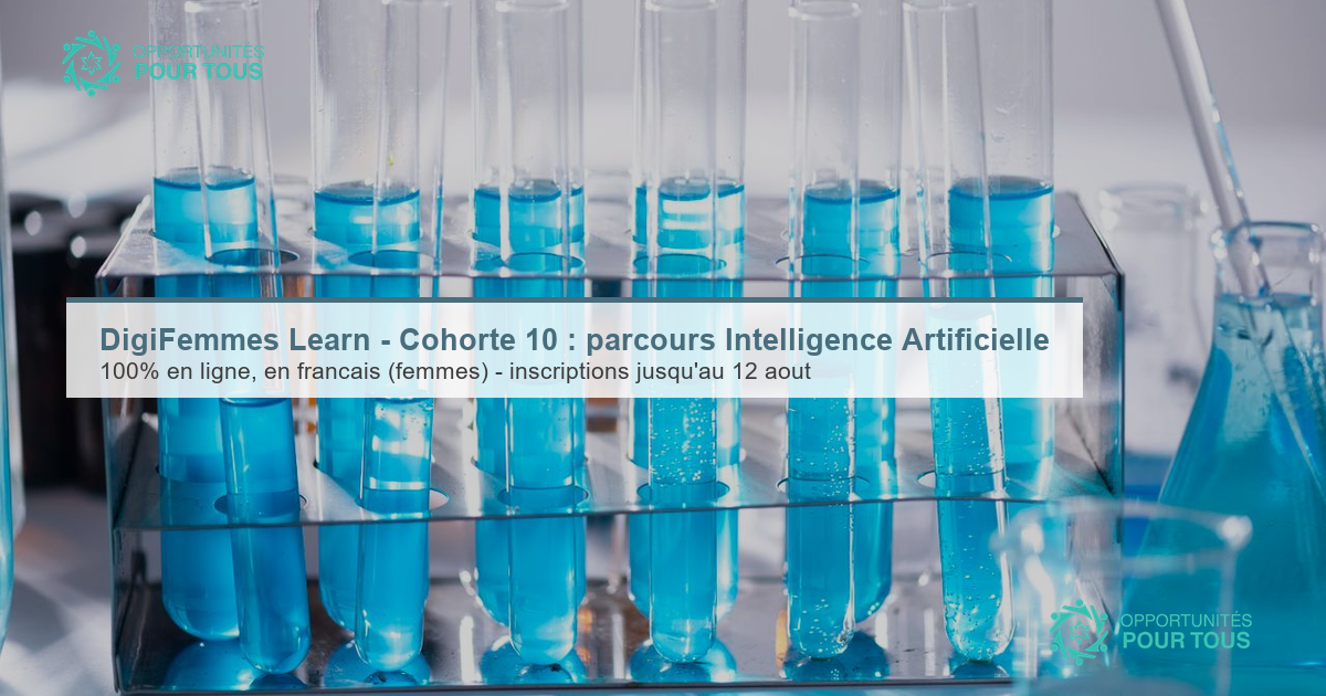 DigiFemmes Learn – Cohorte 10 : parcours Intelligence Artificielle