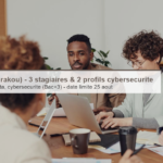 Emini Labs (Parakou) – 3 stagiaires et 2 profils en cybersécurité
