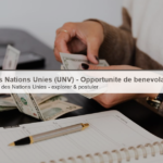 Volontaires des Nations Unies (UNV) – Opportunité de bénévolat en ligne cover b226 24 unv