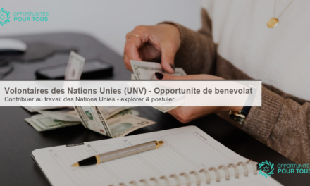 Volontaires des Nations Unies (UNV) – Opportunité de bénévolat en ligne