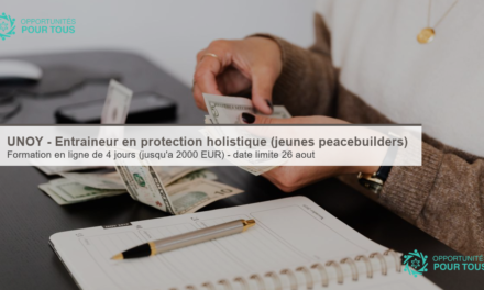 UNOY – Entraîneur(euse) en protection holistique (formation des jeunes peacebuilders)