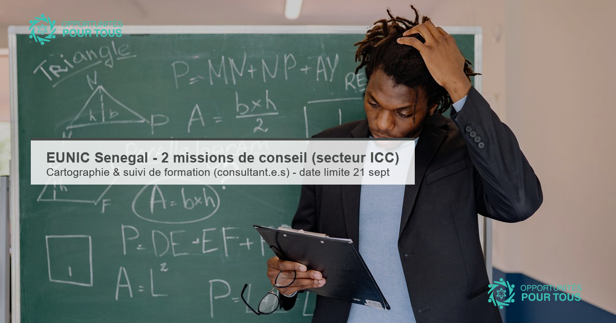 EUNIC Sénégal – Deux missions de conseil pour le secteur des ICC (consultant·e·s)