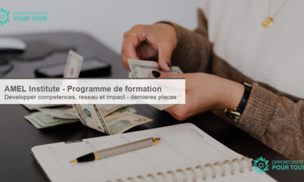 AMEL Institute – Programme de formation (dernières places)