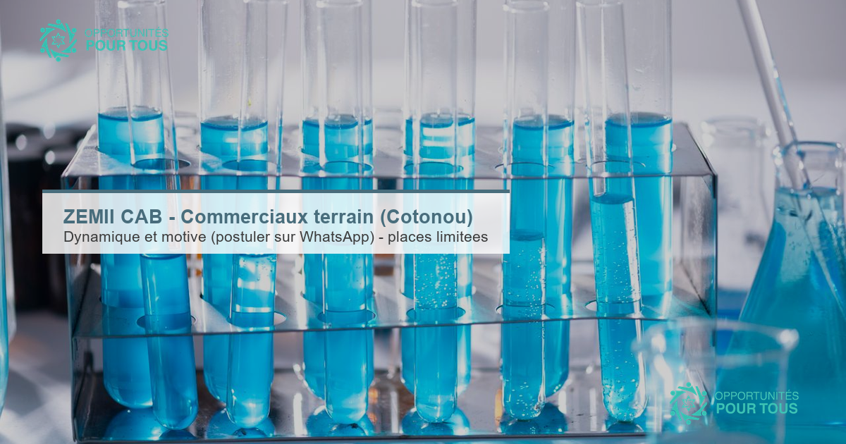 ZEMII CAB – Recrutement de commerciaux terrain (Cotonou)