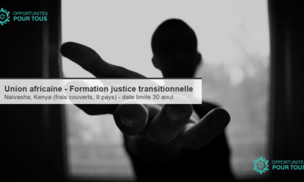Union africaine – Formation sur la politique de justice transitionnelle (Naivasha, Kenya)