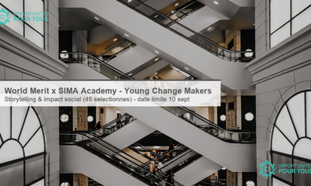 World Merit × SIMA Academy – Young Change Makers Program (storytelling et impact social)