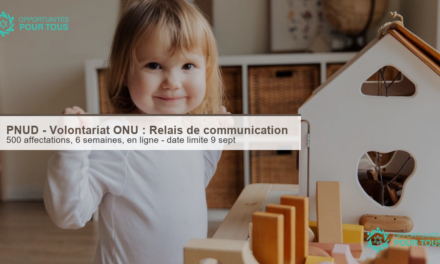 PNUD – Volontariat ONU : Relais de communication (en ligne, 500 affectations)
