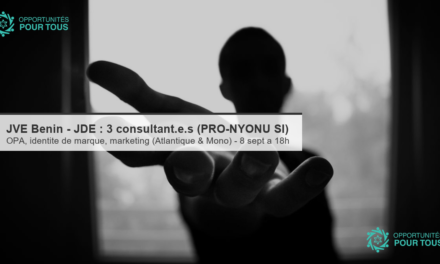 JVE Bénin – JDE : appel à manifestation d&rsquo;intérêt pour 3 consultant·e·s (PRO-NYONU SI)
