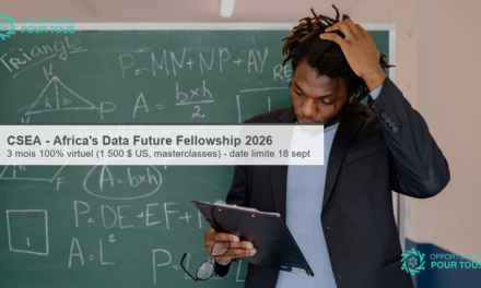 CSEA – Africa&rsquo;s Data Future Fellowship 2026 (programme virtuel, 1 500 $ US)