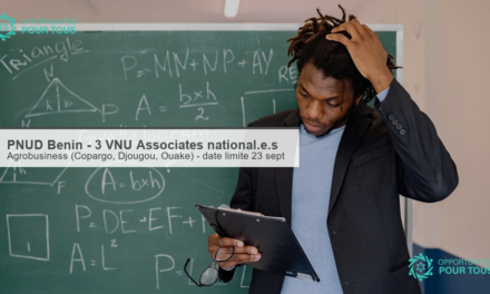 PNUD Bénin recrute trois VNU Associates national·e·s (agrobusiness)