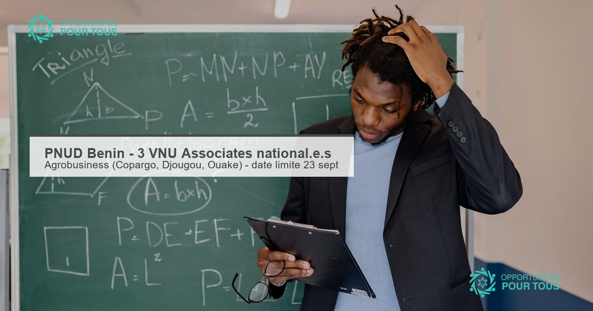 PNUD Bénin recrute trois VNU Associates national·e·s (agrobusiness)