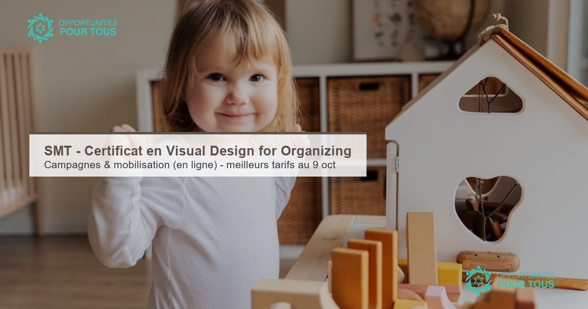SMT – Certificat en Visual Design for Organizing (apprentissage en ligne)