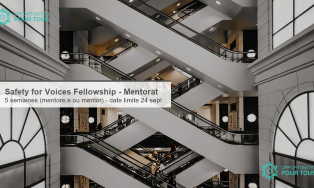 Safety for Voices Fellowship – Cinq semaines de mentorat féministe