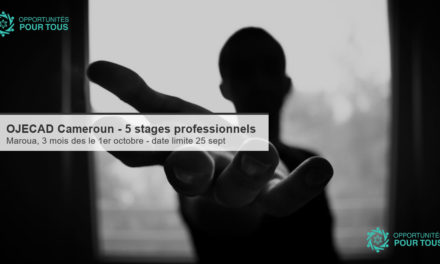 OJECAD Cameroun – 5 stages professionnels de 3 mois à Maroua