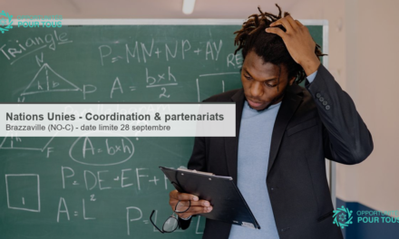 Nations Unies – Spécialiste de la coordination du développement chargé(e) des partenariats (Brazzaville)