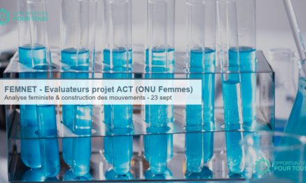 FEMNET recherche des évaluateurs pour l&rsquo;évaluation finale du projet ACT (ONU Femmes)