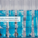 Mandela Washington Fellowship 2027 – Les candidatures sont ouvertes