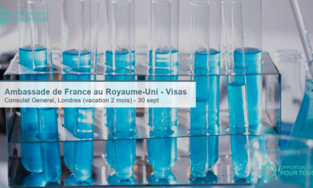 Ambassade de France au Royaume-Uni recrute un agent administratif au service des visas (Londres)