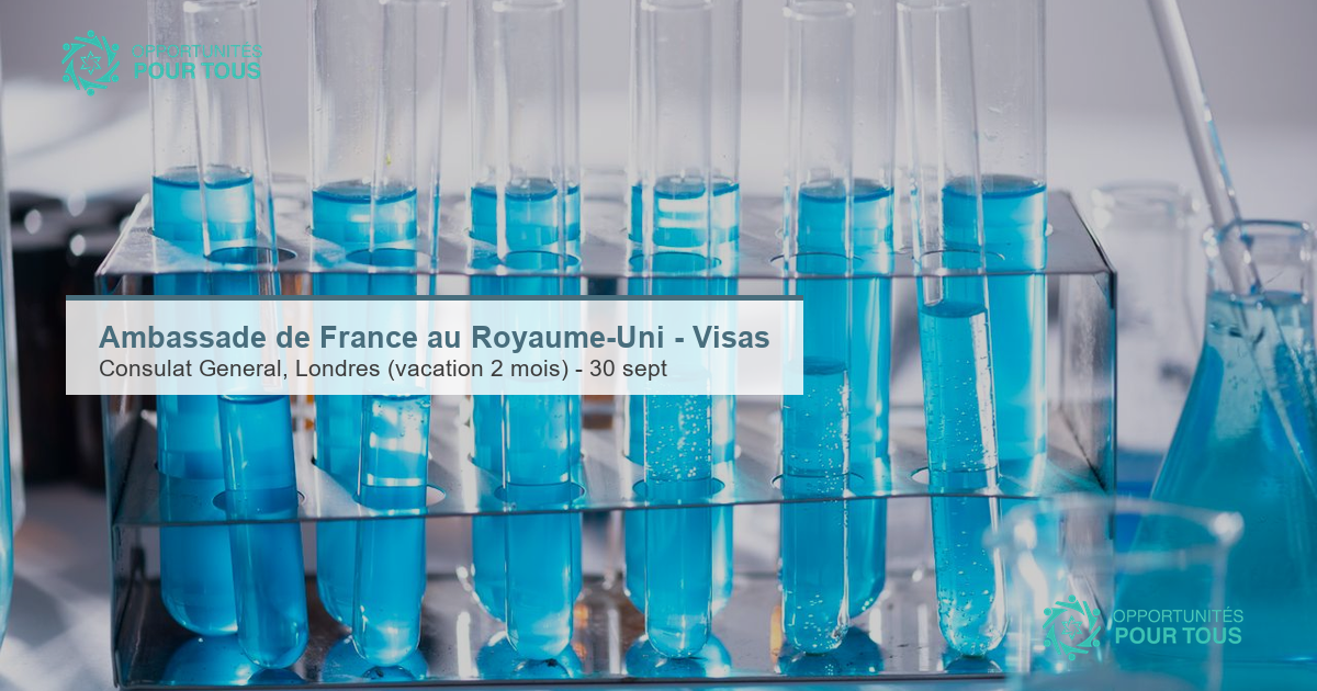 Ambassade de France au Royaume-Uni recrute un agent administratif au service des visas (Londres)