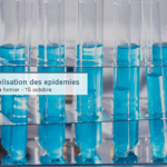TIMERA – Fellowship de formation courte en modélisation des épidémies (50 fellows africains)