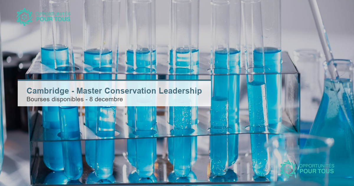 Université de Cambridge – Master en Conservation Leadership (bourses disponibles, rentrée octobre 2027)